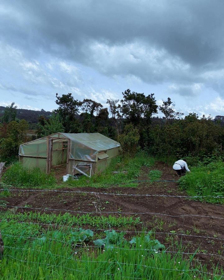 ホテル Refugio Pullao Quilquico エクステリア 写真