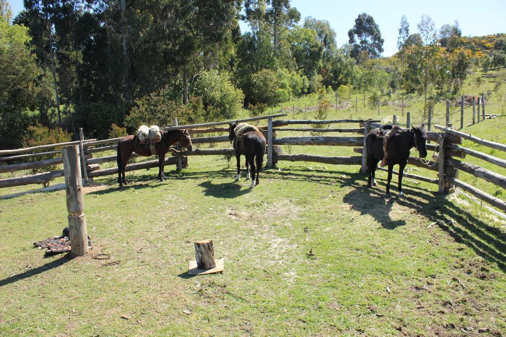 ホテル Refugio Pullao Quilquico エクステリア 写真