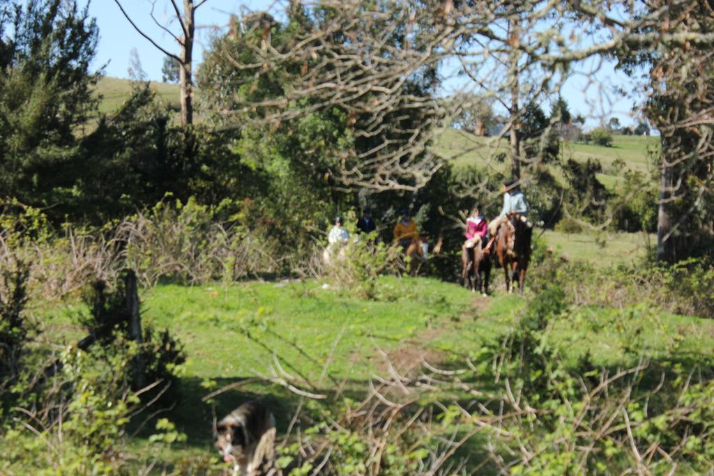 ホテル Refugio Pullao Quilquico エクステリア 写真