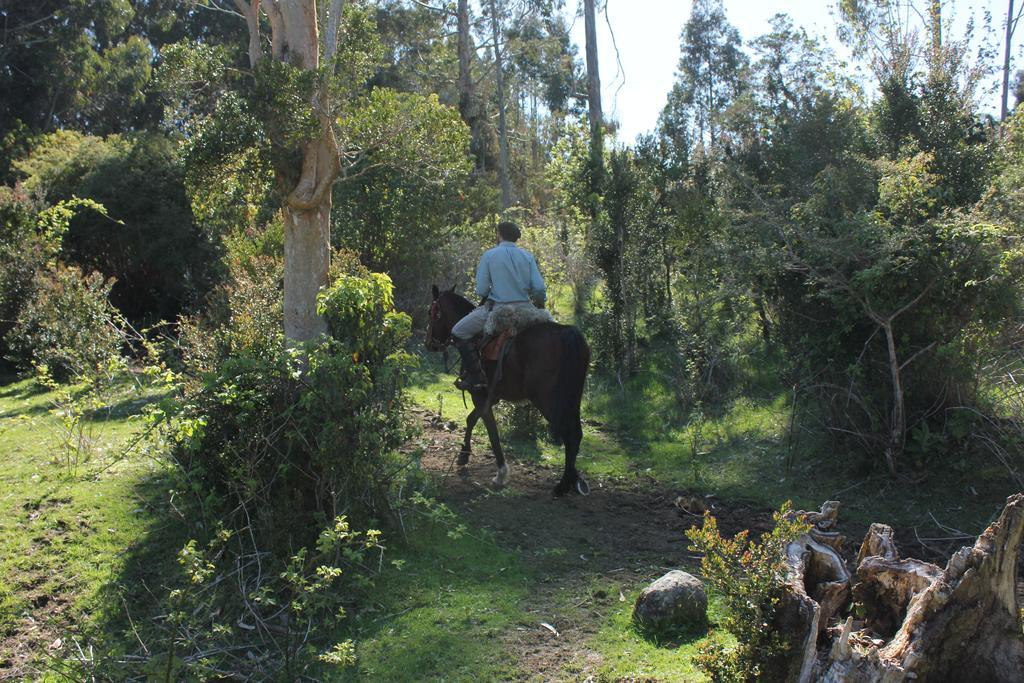 ホテル Refugio Pullao Quilquico エクステリア 写真
