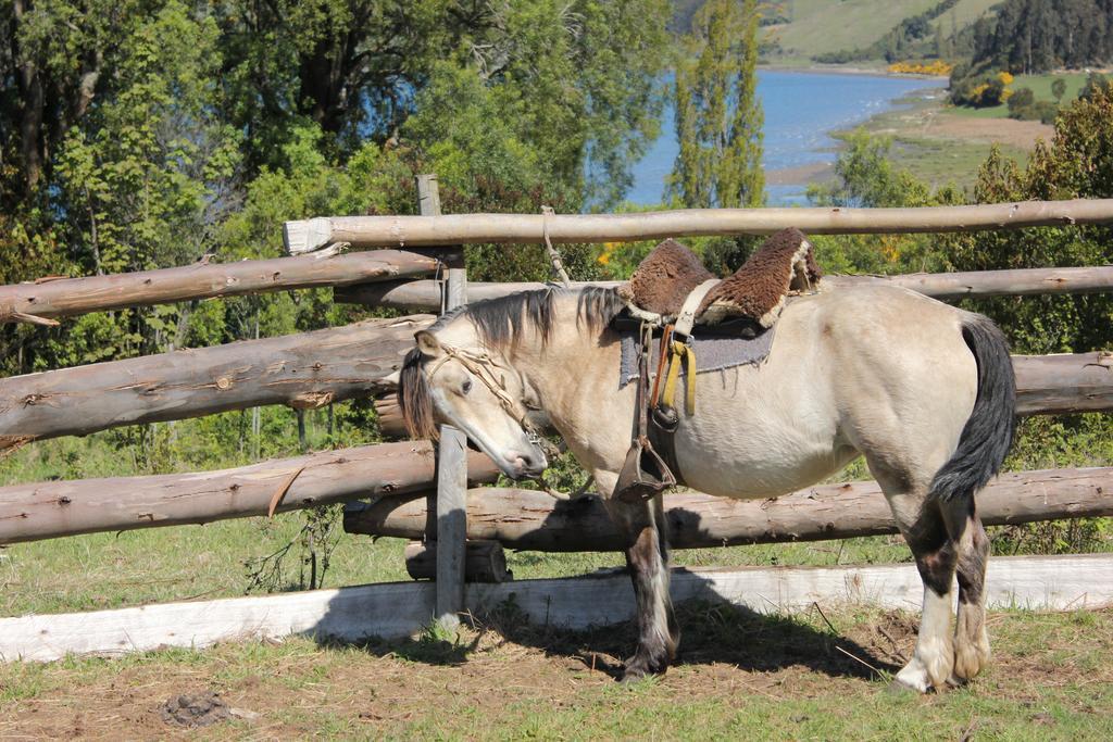 ホテル Refugio Pullao Quilquico エクステリア 写真