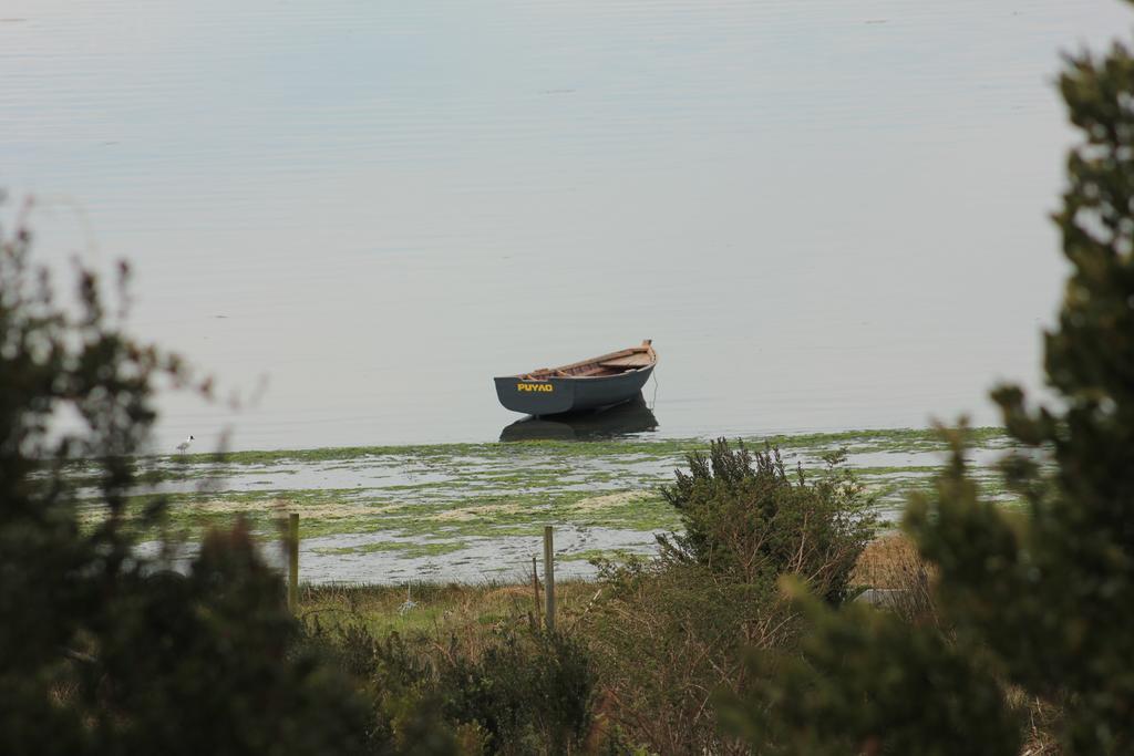 ホテル Refugio Pullao Quilquico エクステリア 写真